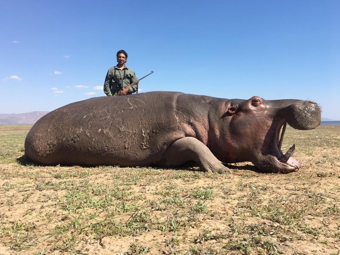 Side by Side Pro Hunting Safaris Zimbabwe Amin Turk Hippo