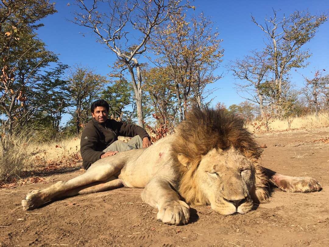Side by Side Pro Hunting Safaris Zimbabwe Amin Turk Lion